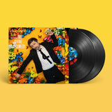 The Divine Comedy - Charmed Life: The Best of Divine Comedy (2LP)