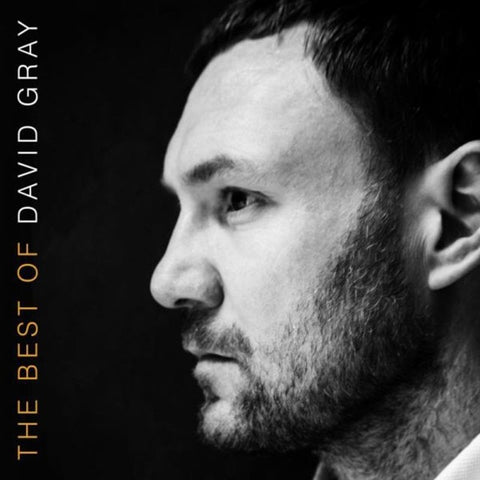 David Gray - The Best Of David Gray (2LP)