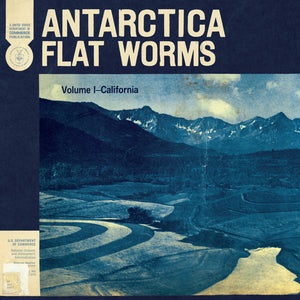 Antarctica - Flat Worms