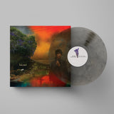 Sharon Van Etten - We've Been Going About This All Wrong (Marble Smoke Vinyl)