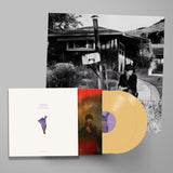 Sharon Van Etten - We've Been Going About This All Wrong (2LP Custard Vinyl)