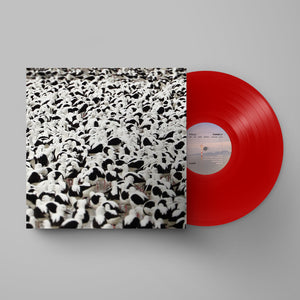 Stella Donnelly - Flood (Opaque Red Vinyl)