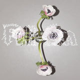 Klara Lewis & Nik Colk Void - Full-On (2LP Clear Vinyl)